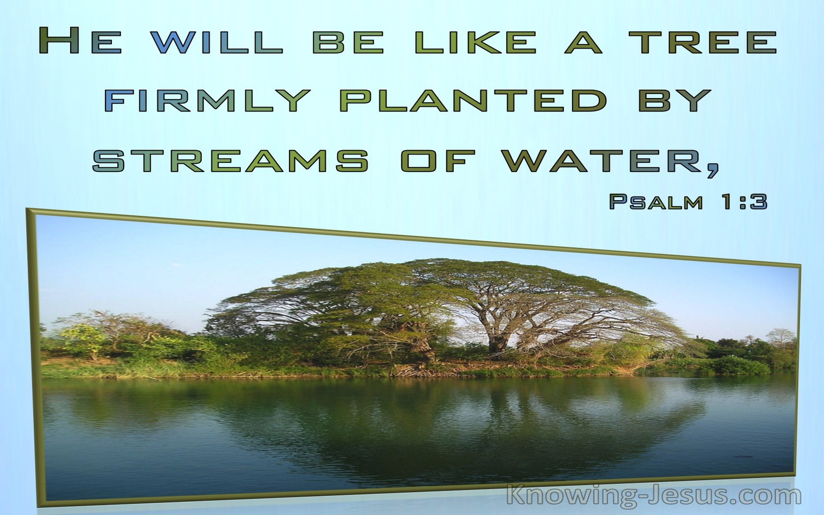 Psalm 1:3 He Will Be Like A Tree Planted By Streams Of Water (aqua)